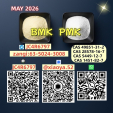 Punctual Delivery 5449-12-7 is Our Standard 28578-16-7 P.MK B.MK Power