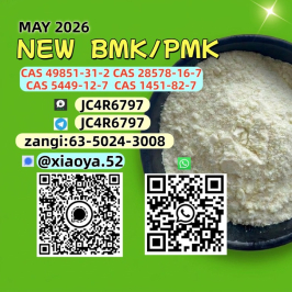 Factory Supply  28578-16-7 , 5449-12-7,   49851-31-2,BMK PMK