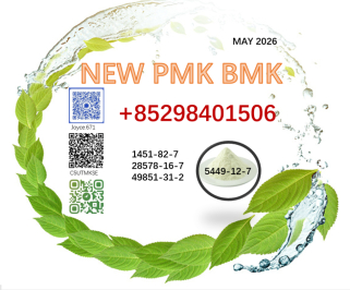 CAS 28578-16-7 BMK CAS 5449-12-7 PMK 49851-31-2 supply