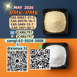 BMK CAS 5449-12-7 supporting PMK CAS 28578-16-7 stock