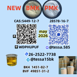 CAS 5449-12-7 Glycidic Acid sodium salt BMK Powder 28578-16-7 PMK