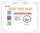 1451-82-7 cas 28578-16-7 PMK 5449-12-7 factory wholesale in stock