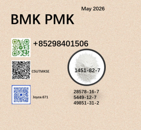 5449-12-7 cas 28578-16-7 BMK 1451-82-7 PMK powder 49851-31-2 on sale