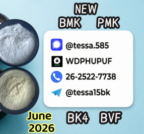 5449-12-7  Glycidic Acid (sodium salt) BMK  99% High Purity  Powder