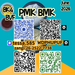 CAS 28578-16-7 PMK Ethyl Glycidate Powder5449-12-7 BMK