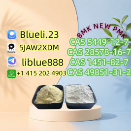 CAS 28578-16-7 PMK Verified Industrial Source with Professional Service
