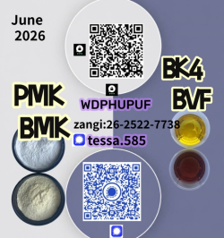 CAS 28578-16-7 pmk  Ethyl Glycidate Organic  White Powder  5449-12-7 BMK