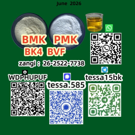 Cas 28578-16-7 Ethyl Glycidate High Yield 5449-12-7 BMK