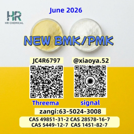 CAS 5449-12-7 BM.K and cas 28578-16-7 PM.K /New product in stock