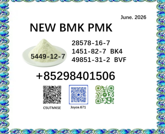 large stock cas 28578-16-7 BK4 BVF 5449-12-7 BMK PMK