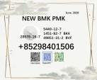 PMK CAS 28578-16-7 BMK CAS 5449-12-7 white powder for selling
