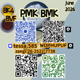 BMK 5449-12-7 Purity: 99% 28578-16-7  pmk Producer direct supply