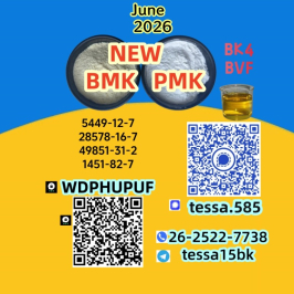 28578-16-7 PMK 5449-12-7 BMK 1451-82-7  49851-31-2  On-time delivery
