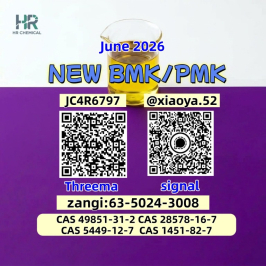 CAS 5449-12-7 BM.K and cas 28578-16-7 PM.K /New product in stock