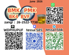 High Purity CAS 28578-16-7 Manufacturer Europe Supply 5449-12-7 BMK