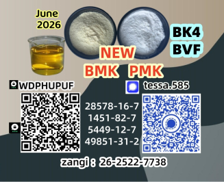 28578-16-7 Pharmaceutical Intermediates Bulk Supplier  Factory 5449-12-7