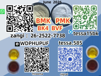 5449-12-7  BMK Glycidic Acid sodium Chemical Reagents Supplier