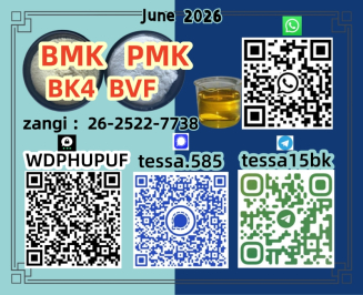 5449-12-7  BMK Manufacturer  Bulk  Glycidic Acid sodium 28578-16-7 PMK