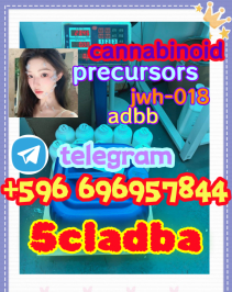From China 5cl-adb