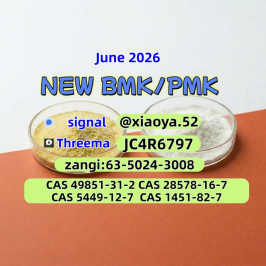 Buy 28578-16-7 PMK Direct Supply 5449-12-7 In Bulk