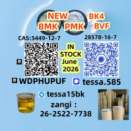 5449-12-7  BMK Glycidic Acid sodium Specialty Chemicals Bulk Supplier