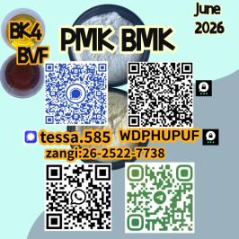 28578-16-7 PMK Chain Services Glycidic Acid sodium