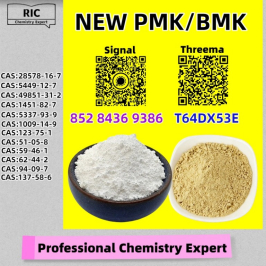 Fast delivery New P.MK B.MK Oil 28578-16-7 5449-12-7 49851-31-2 1451-82-7