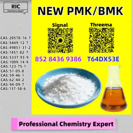 New 5449-12-7 BM.K Powder 28578-16-7 P.MK Oil Doorstep Service