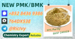 P.MK Methyl Glycidate CAS28578-16-7 B.MK Powder 5449-12-7 P.MK Oil For Sale