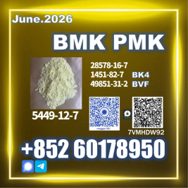 New B.MK CAS 5449-12-7 Direct Supply