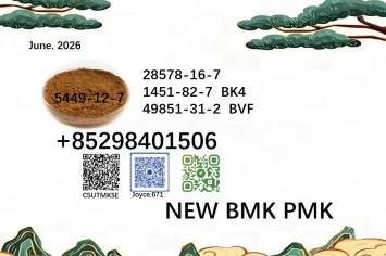 BMK 5449-12-7 supplier high purity 28578-16-7 PMK 49851-31-2 & 1451-82-7