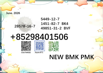 CAS 28578-16-7 supervises BMK 5449-12-7 factory direct supply