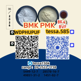 5449-12-7  BMK Glycidic Acid sodium Scientific Chemicals Supplier