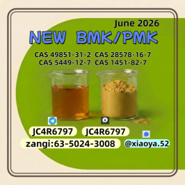 BMK powder cas 28578-16-7 PMK 5449-12-7 in stock 