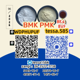 5449-12-7BMK Powder  Glycidic Acid sodium salt 28578-16-7 PM K