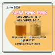 For Sale: Cas 28578-16-7 BMK Powder Cas 5449-12-7 PMK