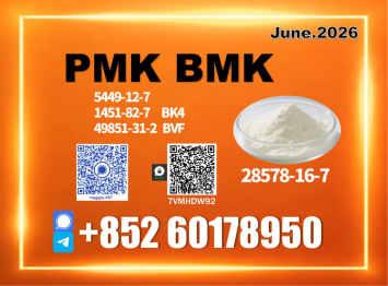 CAS 28578-16-7 New PM.K B.MK Stable inventory