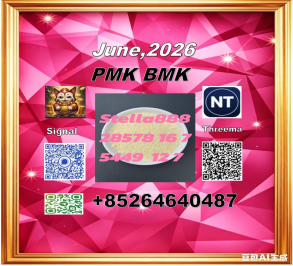  New P.MK 28578-16-7 plus 1451-82-7 bm-k