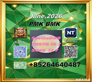 Bulk cas28578-16-7 P-MK and CAS5449-12-7 B-MK/ 49851-31-2