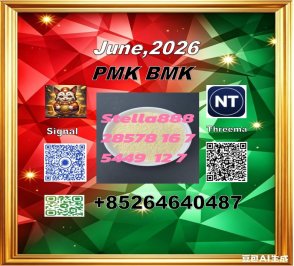 Raw Materials cas 28578-16-7 P-MK and cas 5449-12-7 B-MK