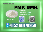PM.K New CAS 28578-16-7 B.MK fine chemical