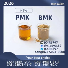BM/K 54/49-12-7 glycidic acid sodium salt P.MK 28/578-16-7 free shipping