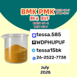CAS 5449-12-7 99% High Purity BMK Glycidic Acid sodium salt Powder