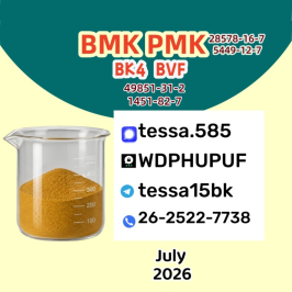 CAS 5449-12-7 99% High Purity BMK Glycidic Acid sodium salt Powder