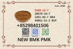 5449-12-7 cas 28578-16-7 BMK PMK powder in mass production
