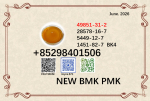 5449-12-7 and 28578-16-7 BMK PMK Powder factory supply