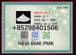 Best price 28578-16-7 BMK 5449-12-7 factory supply