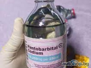 Buy Nembutal Pentobarbital 250ml With BITCOIN USDT