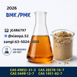 Certified Manufacturer of PMK Oil CAS 28578-16-7 and BMK (CAS 5449-12-7)