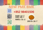 28578-16-7 New BMK 5449-12-7 Factory direct supply PMK